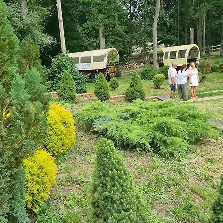 Dwor Mysinek Проживание в семье