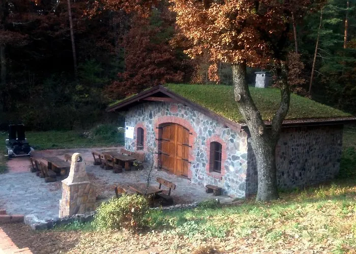 民宿 Dwor Mysinek Grabowiec (Starogard, Pomerania)